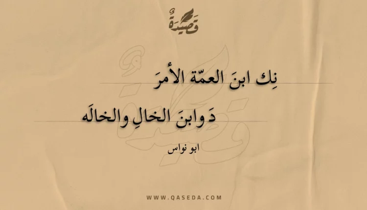 قصيدة نك ابن العمة الأمرد