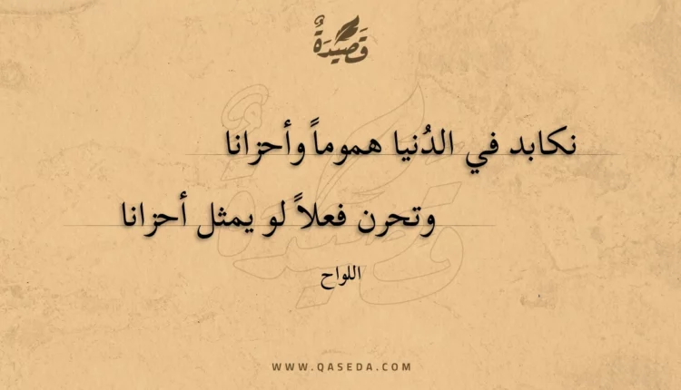قصيدة نكابد في الدنيا هموما وأحزانا