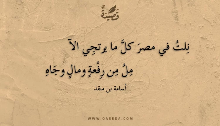 قصيدة نلت في مصر كل ما يرتجي