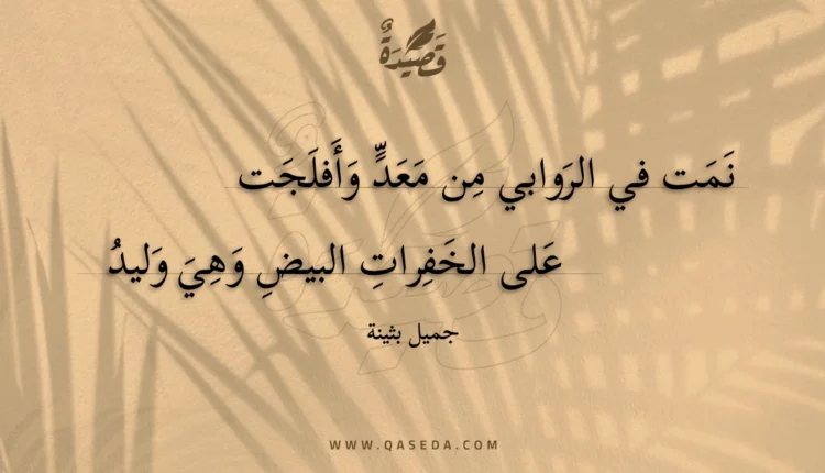 قصيدة نمت في الروابي من معد وأفلجت