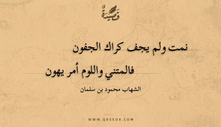 قصيدة نمت ولم يجف كراك الجفون