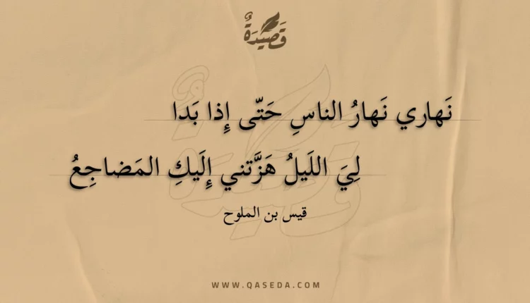 قصيدة نهاري نهار الناس حتى إذا بدا