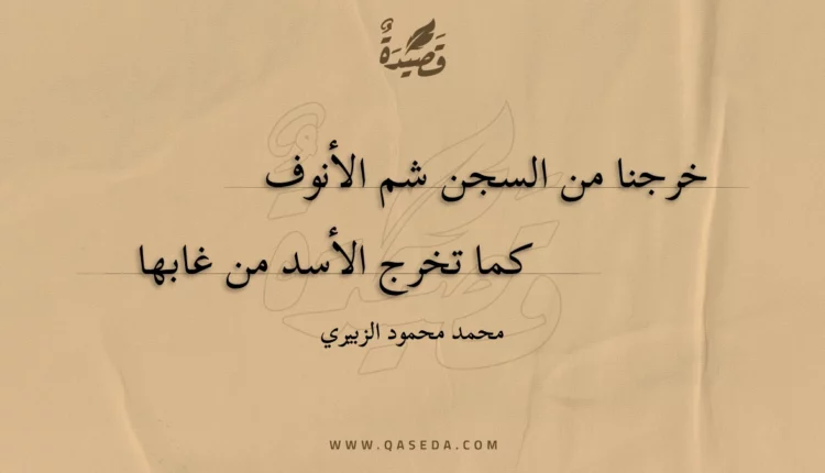 قصيدة نهاية التجربة