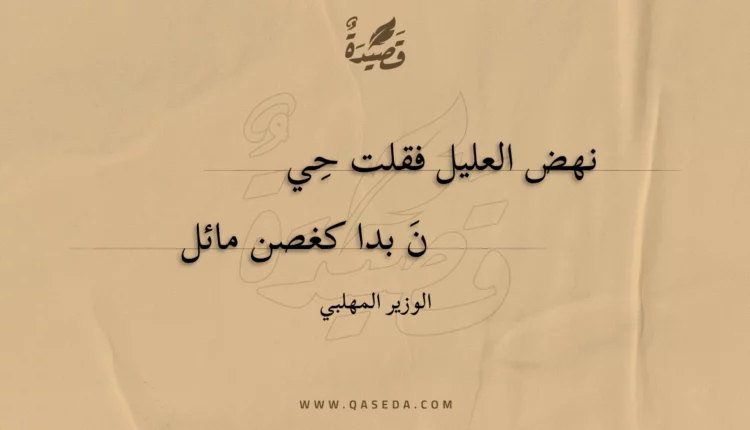 قصيدة نهض العليل فقلت حين