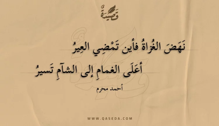 قصيدة نهض الغزاة فأين تمضي العير