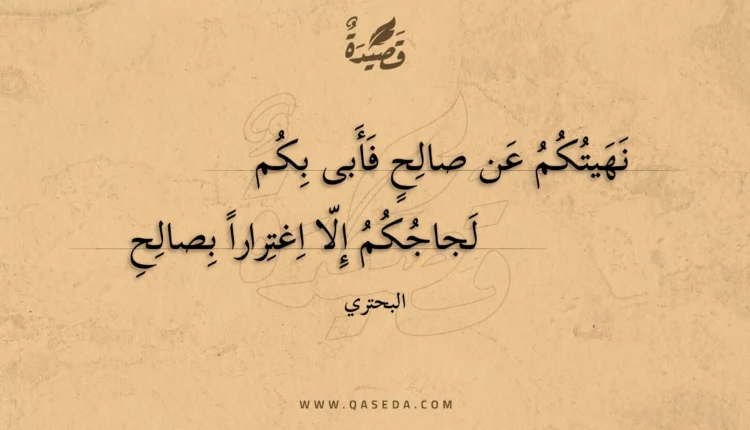قصيدة نهيتكم عن صالح فأبى بكم