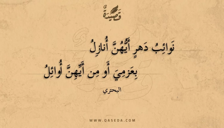 قصيدة نوائب دهر أيهن أنازل
