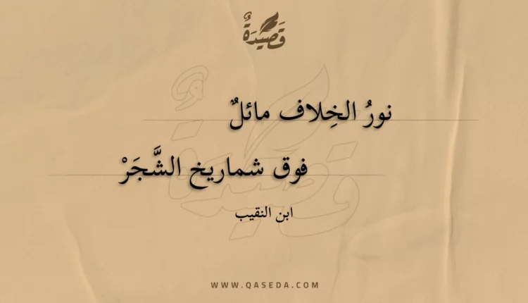 قصيدة نور الخلاف مائل