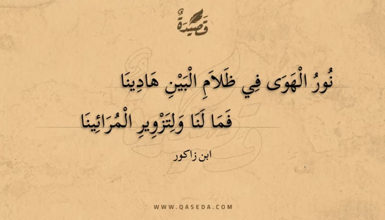قصيدة نور الهوى في ظلام البين هادينا
