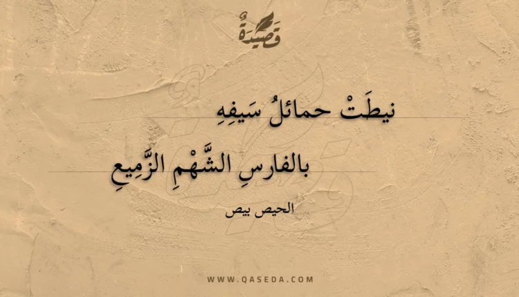 قصيدة نيطت حمائل سيفه