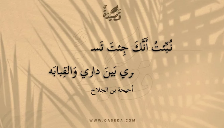 قصيدة نُبئت أنك جئت تسري