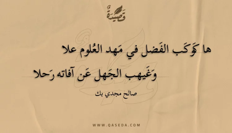 قصيدة ها كوكب الفضل في مهد العلوم علا
