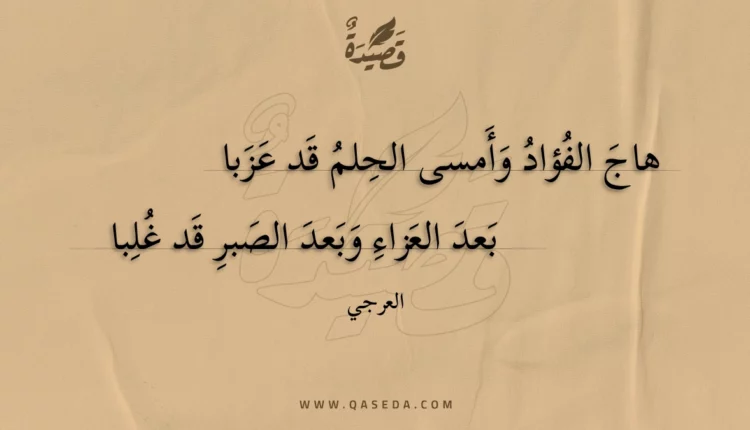قصيدة هاج الفؤاد وأمسى الحلم قد عزبا