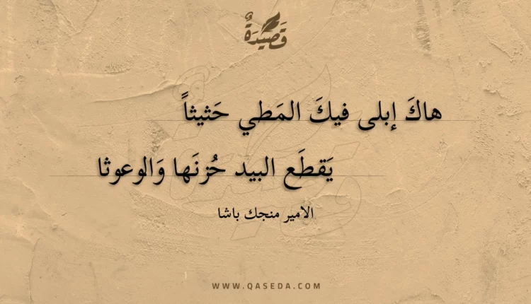 قصيدة هاك إبلى فيك المطي حثيثا