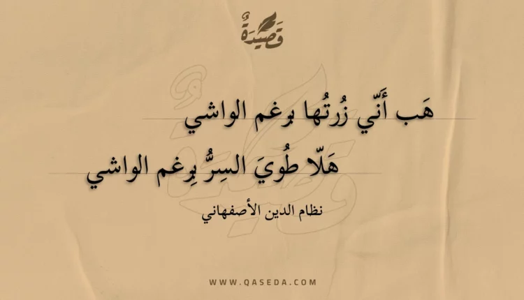قصيدة هب أني زرتها برغم الواشي