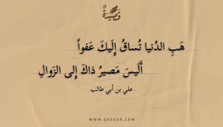 قصيدة هب الدنيا تساق إليك عفوا