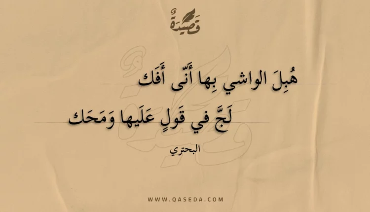 قصيدة هبل الواشي بها أنى أفك