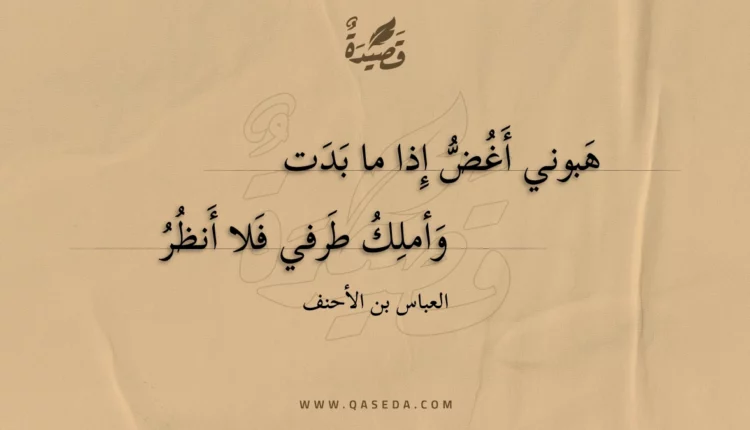 قصيدة هبوني أغض إذا ما بدت