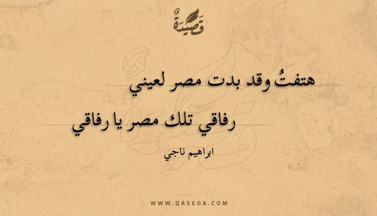 قصيدة هتفت وقد بدت مصر لعيني