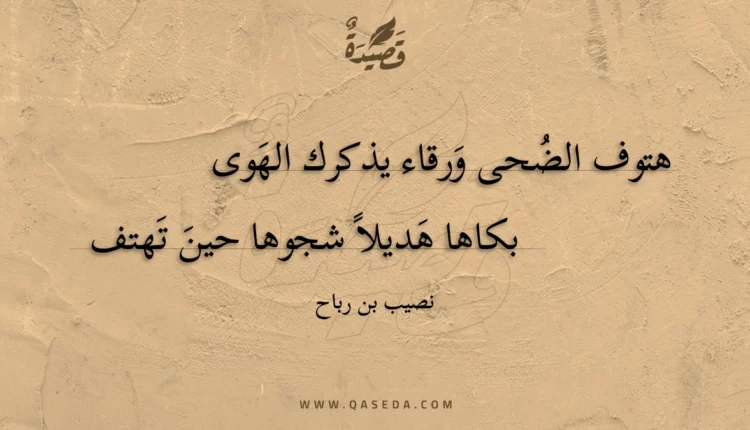 قصيدة هتوف الضحى ورقاء يذكرك الهوى