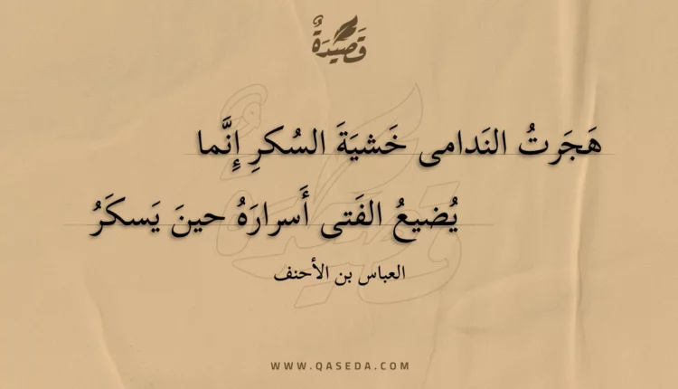 قصيدة هجرت الندامى خشية السكر إنما