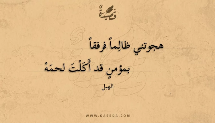 قصيدة هجوتني ظالما فرفقا