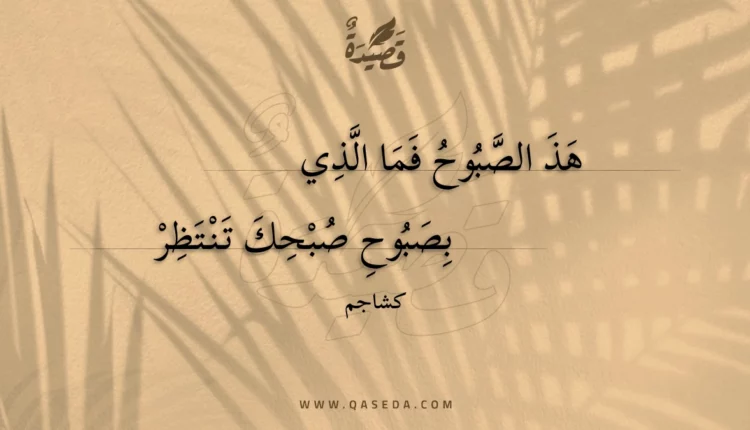 قصيدة هذ الصبوح فما الذي