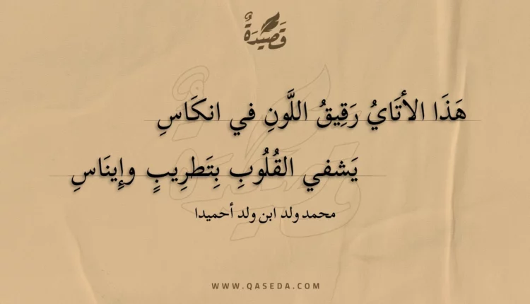 قصيدة هذا الأتاي رقيق اللون في انكاس