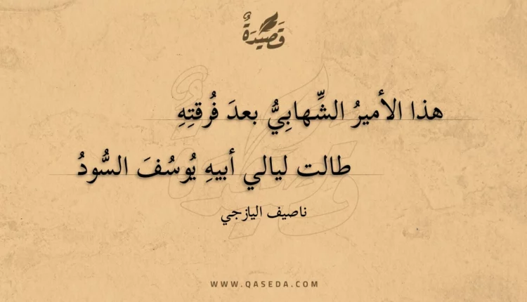 قصيدة هذا الأمير الشهابي بعد فرقته
