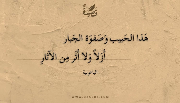 قصيدة هذا الحبيب وصفوة الجبار