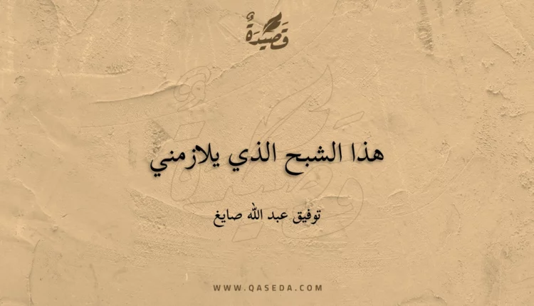قصيدة هذا الشبح الذي يلازمني