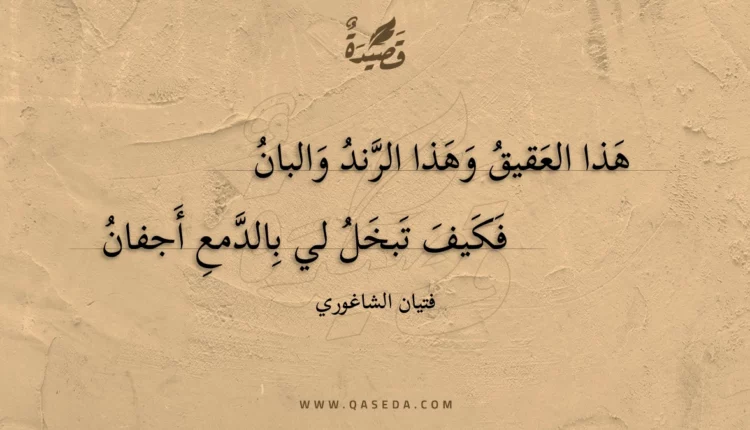 قصيدة هذا العقيق وهذا الرند والبان