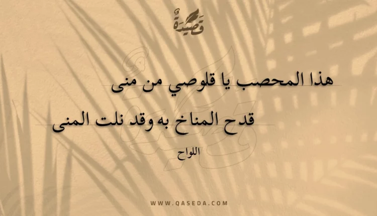 قصيدة هذا المحصب يا قلوصي من منى