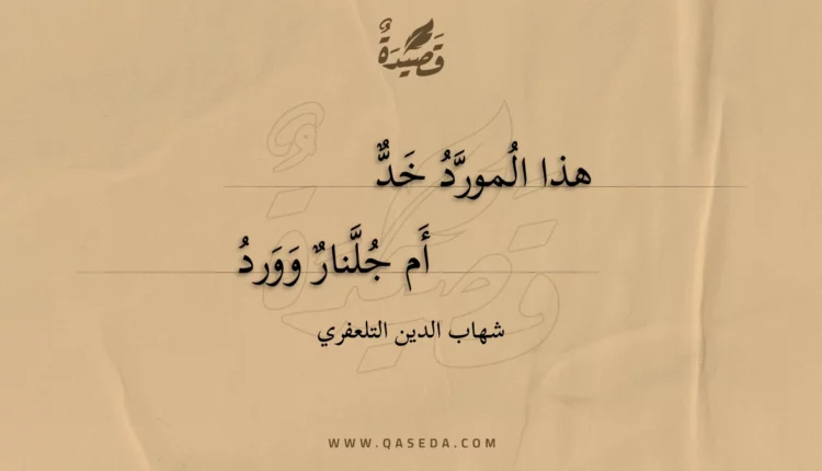 قصيدة هذا المورد خد