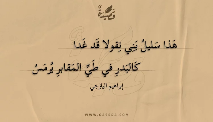 قصيدة هذا سليل بني نقولا قد غدا