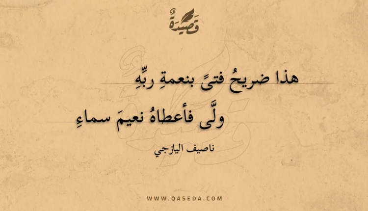 قصيدة هذا ضريح فتى بنعمة ربه