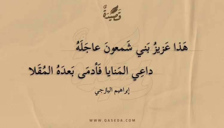 قصيدة هذا عزيز بني شمعون عاجله