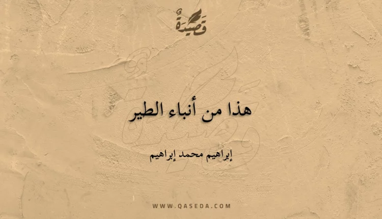 قصيدة هذا من أنباء الطير