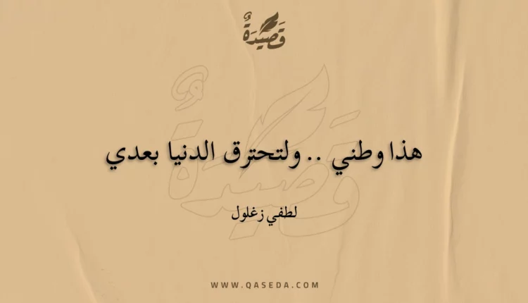 قصيدة هذا وطني .. ولتحترق الدنيا بعدي