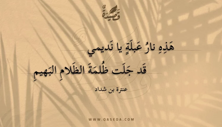 قصيدة هذه نار عبلة يا نديمي
