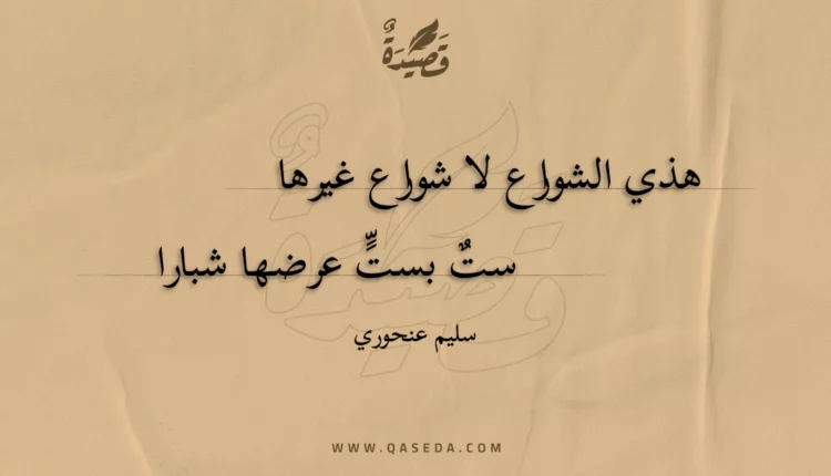 قصيدة هذي الشوارع لا شوارع غيرها