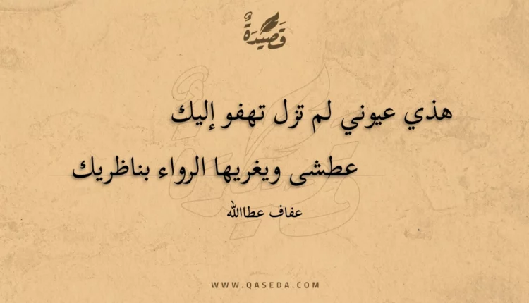 قصيدة هذي عيوني لم تزل تهفو إليك