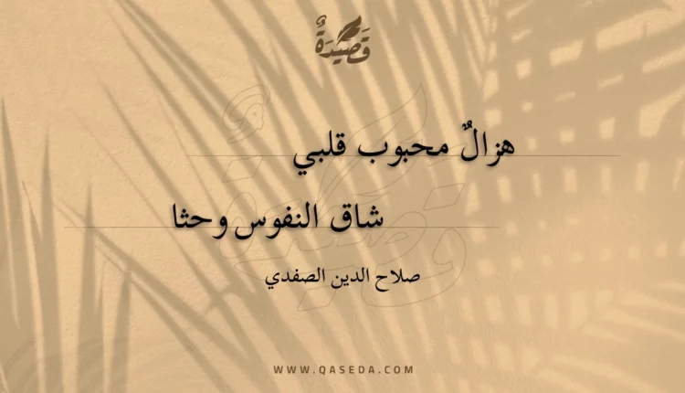قصيدة هزال محبوب قلبي