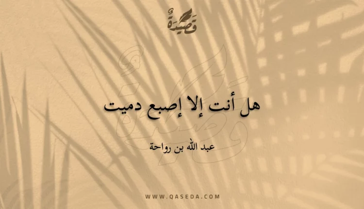 قصيدة هل أنت إلا إصبع دميت