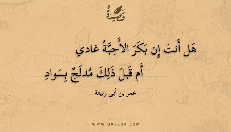 قصيدة هل أنت إن بكر الأحبة غادي