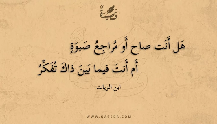 قصيدة هل أنت صاح أو مراجع صبوة