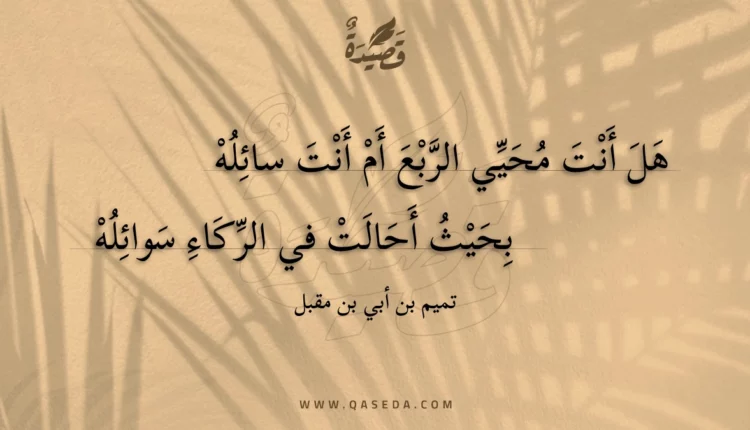 قصيدة هل أنت محيي الربع أم أنت سائله