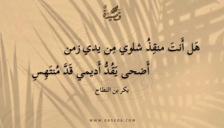 قصيدة هل أنت منقذ شلوي من يدي زمن
