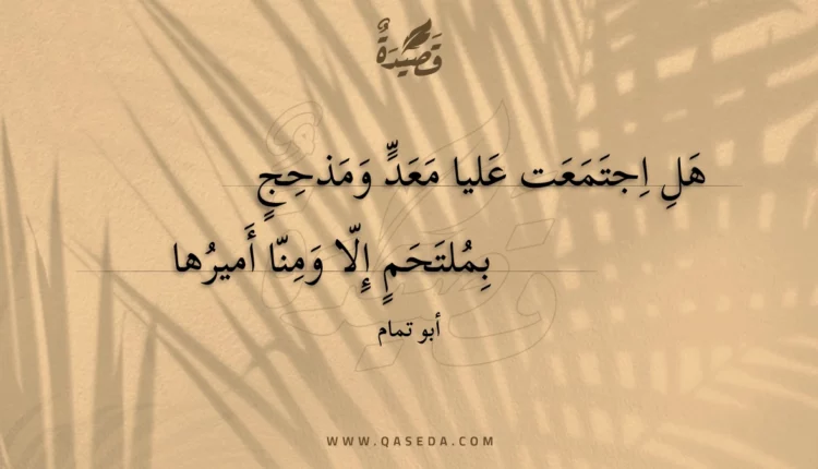 قصيدة هل اجتمعت عليا معد ومذحج