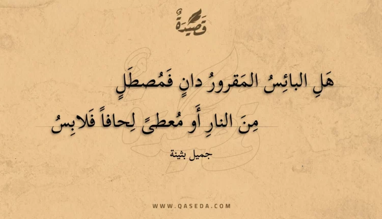 قصيدة هل البائس المقرور دان فمصطل